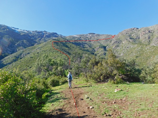 Saliendo del bosque