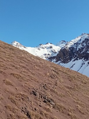 Vista al Cerro Coyesillo y Punta Ulrich, desde el traverse hacia el campamento base