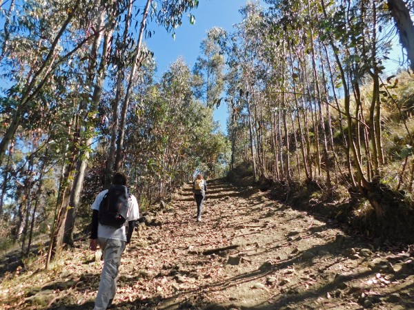 Primera parte de la ruta