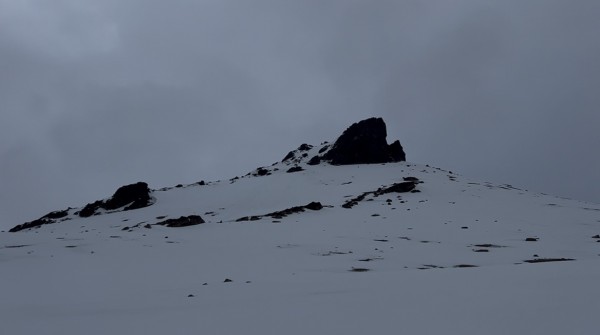 Negro (Lago El Desierto)