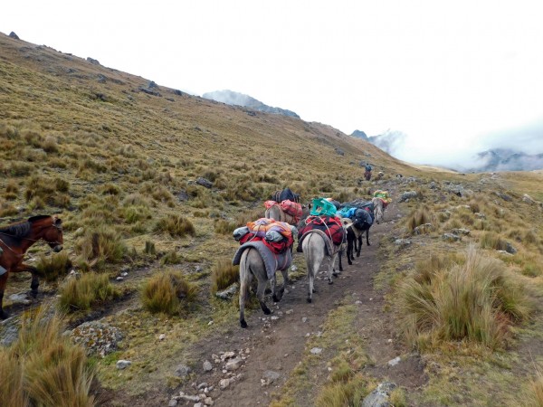 Sendero desde campamento Huayhuash Sendero desde campamento Huayhuash