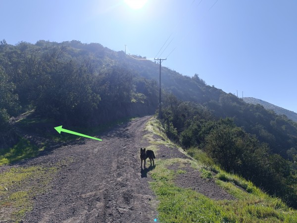Desvío a ladera oeste