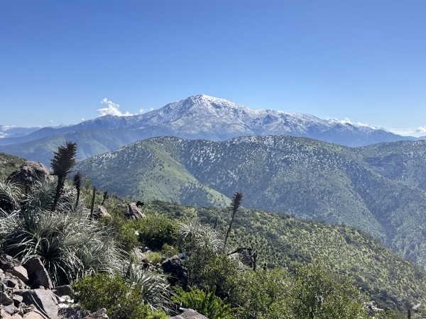 Cerro Bustamante