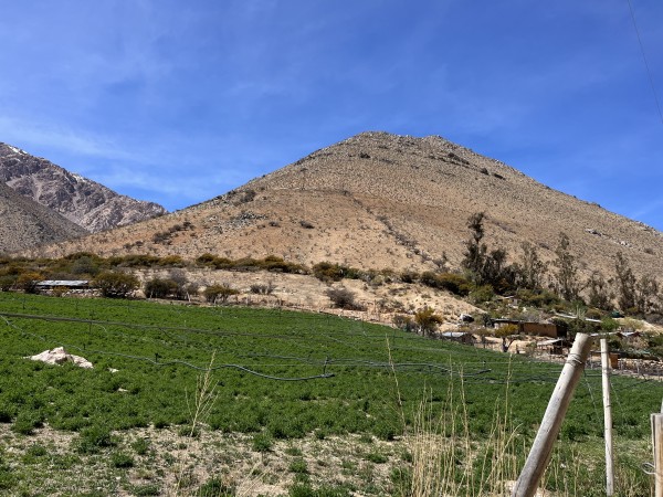 Cerro El Chifute