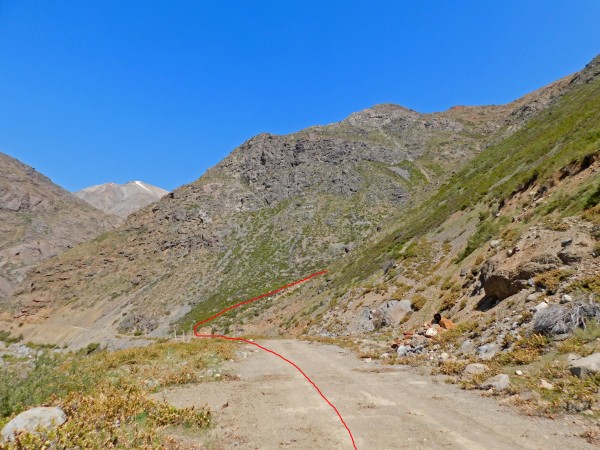 Camino vehicular