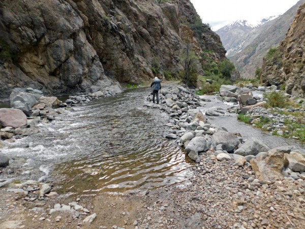 Cruce del estero