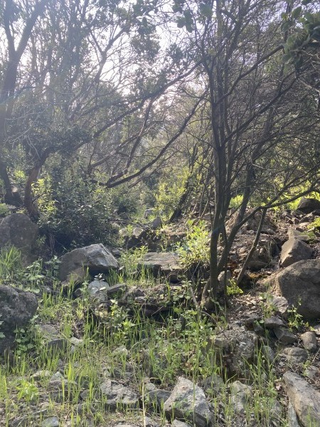 Entrada a la quebrada 