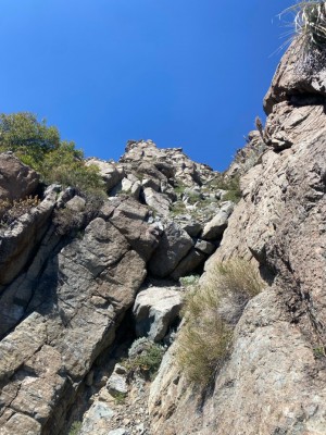 Trepes II y III