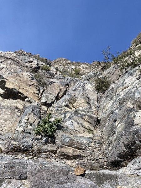 Trepes II y III grado 