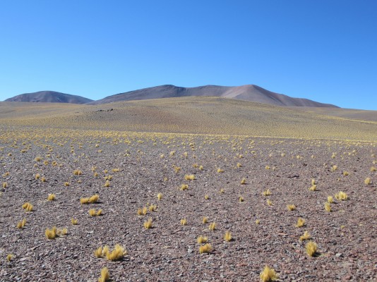 Co. Lajitas 5.043msnm