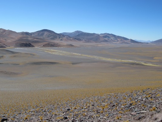 Quebrada Río Lajitas