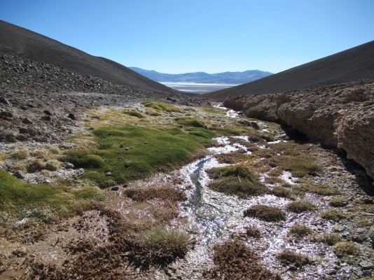Quebrada Cerro Colorado & Salar de Maricunga