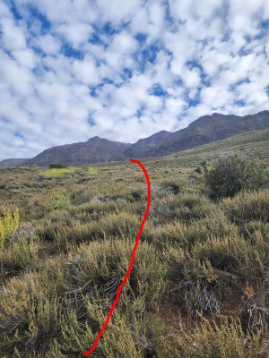 Camino al Canalón Foto: 5Camino desde primera meseta hacia canalón por un terreno con abundantes arbustos pequeños.Benjamin Villaleiva