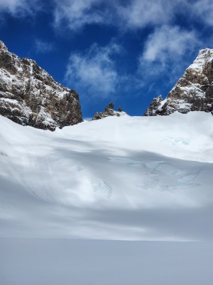 Rumbo al paso gallina