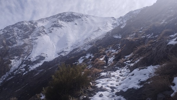 Sendero a la cara surFoto: 6Un claro sendero avanza por la quebrada y deja en las laderas de la cara sur del cerro Bandera.Juan Pablo Cabbada Bergez