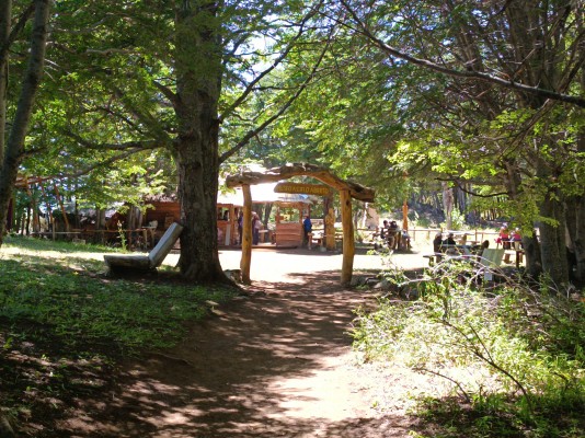 Bosque TalladoFoto: 3Nicolás Berríos