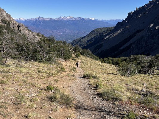 Saliendo del bosqueFoto: 5Nicolás Berríos