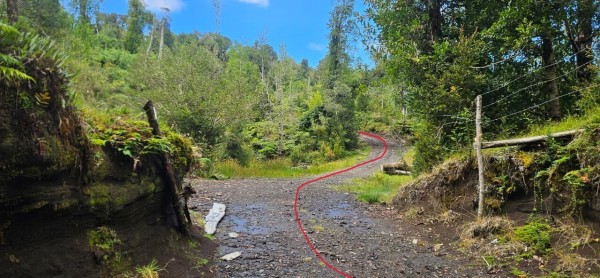 Inicio del sendero Foto: 3A mano derecha del camino que lleva al lago Cabrera, se encuentra este camino secundario que da inicio al ascenso al volcán HornopirénJuan Pablo Duran Vergara