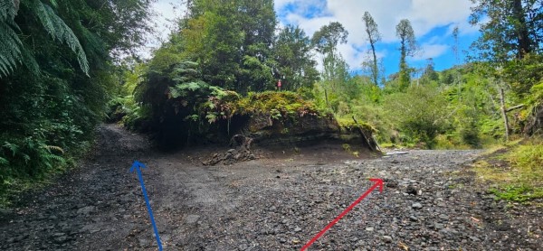 Camino principalFoto: 2Flecha azul: lago Cabrera.
Flecha roja: volcán Hornopirén.
km 7.9 camino al lago cabrera Juan Pablo Duran Vergara