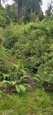 RutaFoto: 5Desde aquí comienza la huella hacia la cumbreJuan Pablo Duran Vergara