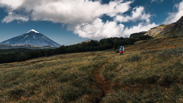 En dirección al LanínFoto: 14Ya en zonas mas verdes, la huella gira hacia el Lanín y sube suavemente. Ignacio Sanhueza Yaksic