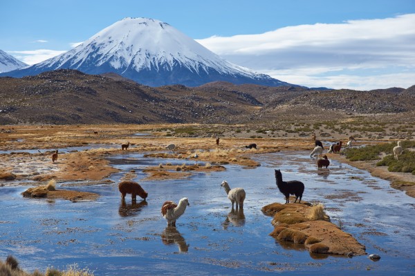 Volcán Parinacota