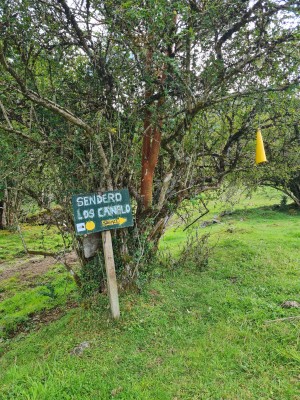 Señaléticas Foto: 3Dirección del sendero Simón Olfos