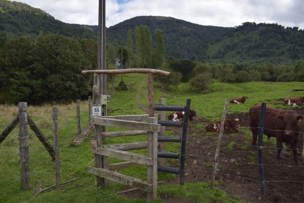 Acceso desde camino vehicular Foto: 1Aquí se accede desde el camino, donde metros más arriba se encuentra la casa de Don Rene Simón Olfos