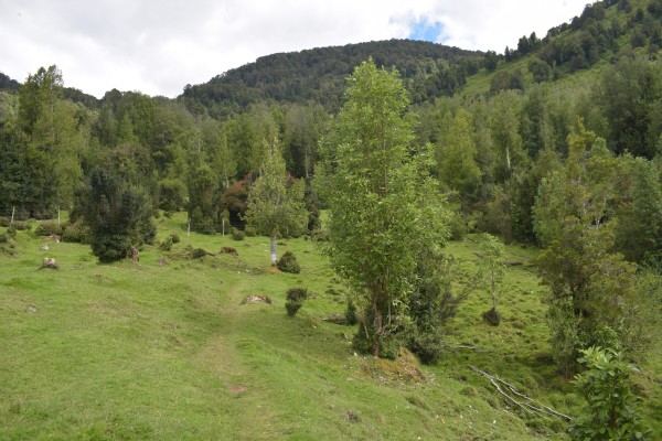 SenderoFoto: 8Zonas abiertas Simón Olfos