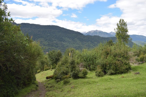 Sendero Foto: 9Último tramo Simón Olfos