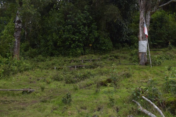 Sector de bancas Foto: 10Ideal para comer algo y disfrutar la tranquilidad del sector Simón Olfos