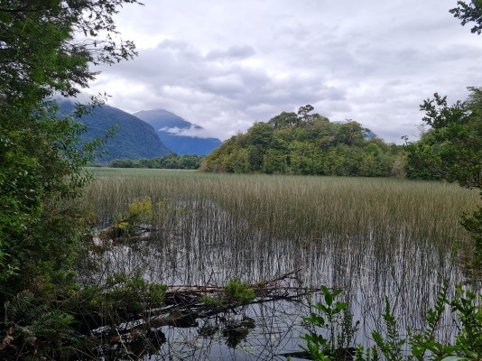 Laguna Subiabre Foto: 5Vista dirección EsteSimón Olfos