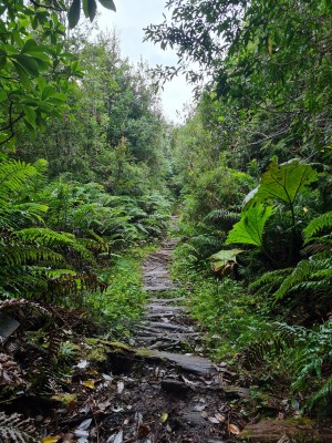 Sendero Foto: 2Simón Olfos