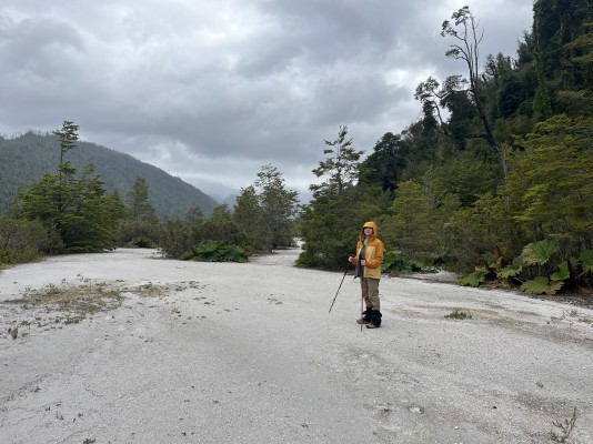 Suelo de origen volcánicoFoto: 4Nicolás Berríos