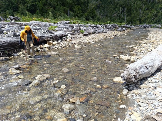 Cruce de esteroFoto: 5Este se puede sortear fácilmente saltando entre piedrasNicolás Berríos