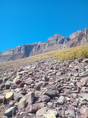 Vegetación en el acarreo.Foto: 4María Jesús Vergara