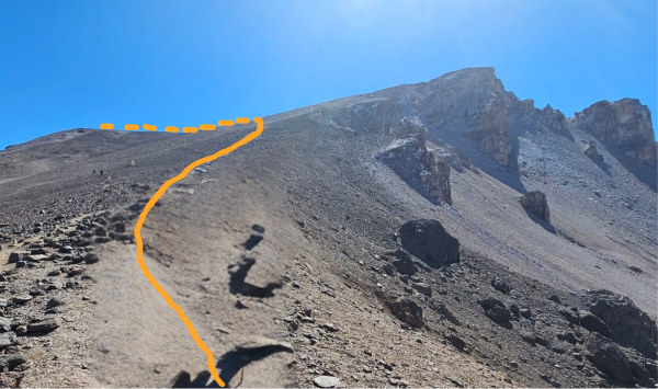 Subida que evita acarreo Falsa ParvaFoto: 7José Antonio Mena 