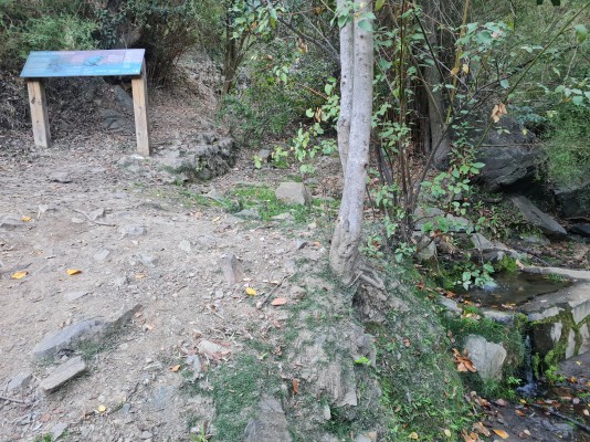 Segunda aguada Foto: 5Punto de hidratación y sombra, aquí hay una tubería que entrega agua desde la vertiente, fotografía de abril 2026Simón Olfos