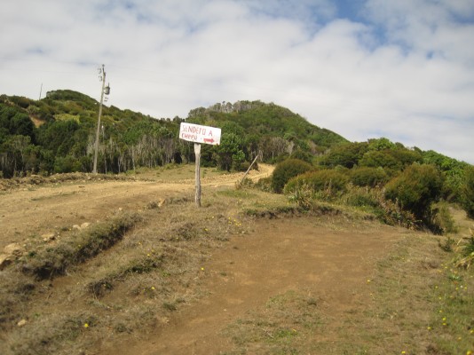 Desvío e inicio del senderoFoto: 4Nicolás Berríos