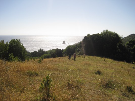 LomajesFoto: 7Nicolás Berríos