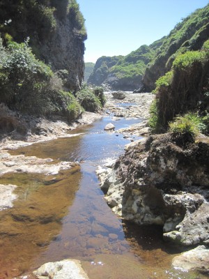 EsteroFoto: 5Nicolás Berríos