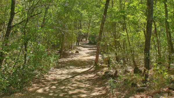 SenderoFoto: 5Tomás Prado