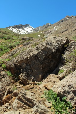 Fósiles coralesFoto: 6Jennifer Herrera Urrutia