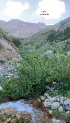 Quebrada con agua del Cordón de ManantialesFoto: 4Desde este punto se puede observar el cerro La Guardia.Héctor Becerra Díaz