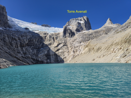 Avenali