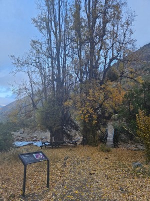 Puente - Estero Yerba LocaFoto: 2Hito que marca el inicio de la ruta por la cara este del cerro del Medio.José Antonio Mena 