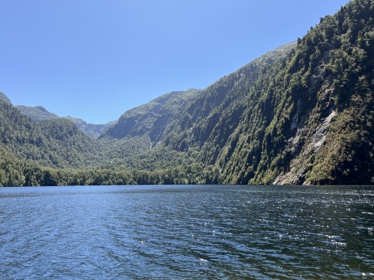 Laguna TronadorFoto: 4Vista desde la orilla de la laguna en dirección noroesteNicolás Berríos