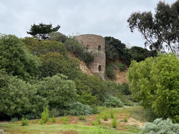 Torre abandonadaFoto: 2Esta torre es visible desde el sendero en su primer tramoDirección: SurNicolás Berríos