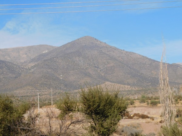 Los Potrillos