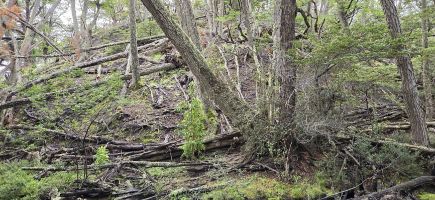 Trayecto  Foto: 7Paisaje caracteristico de la rutaDirección: NorteRaúl Castro Hernández